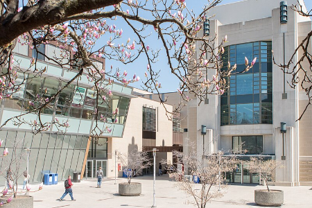 پذیرش دانشگاه مک مستر, رتبه دانشگاه مک مستر