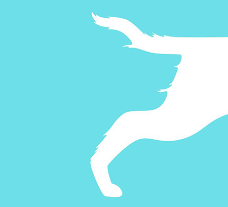 تست روانشناسی, تست روانشناسی شخصیت, تست روانشناسی جدید 