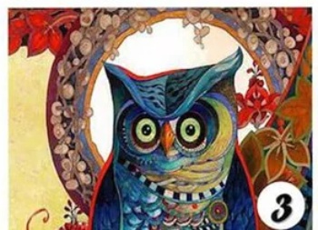 چه عکس توجه شما را به خود جلب کرد