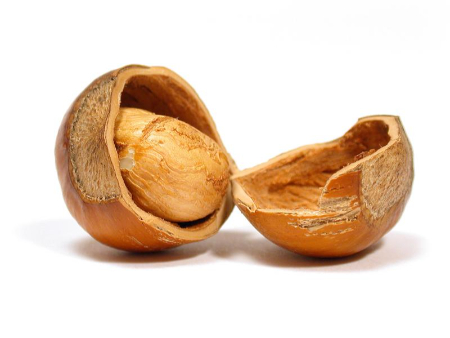 روش‌های خانگی برای فندق, بو دادن فندق