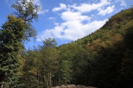 پارک جنگلی سوکان سمنان, بزرگ‌ترین پارک جنگلی سمنان