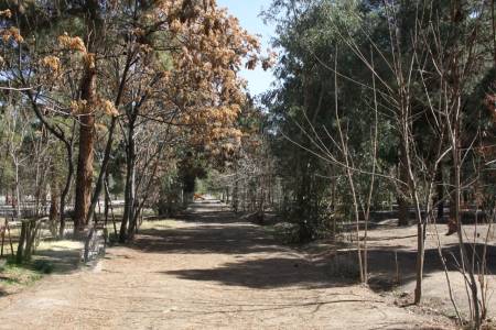 پارک جنگلی سوکان سمنان, بزرگ‌ترین پارک جنگلی سمنان