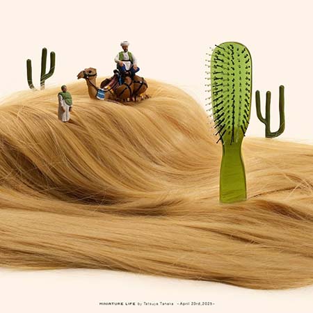 آثار تاتسویا تاناکا, خلاقیت در هنر مینیاتوری ژاپن