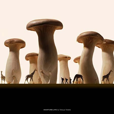 آثار تاتسویا تاناکا, خلاقیت در هنر مینیاتوری ژاپن