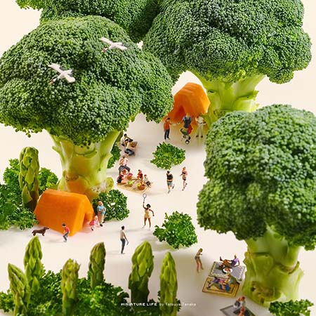 آثار تاتسویا تاناکا, خلاقیت در هنر مینیاتوری ژاپن