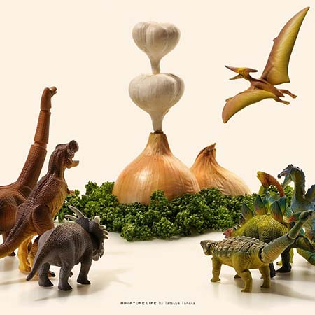 آثار تاتسویا تاناکا, خلاقیت در هنر مینیاتوری ژاپن