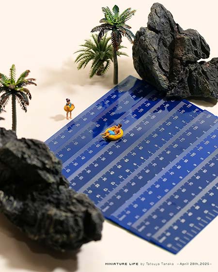 آثار تاتسویا تاناکا, خلاقیت در هنر مینیاتوری ژاپن