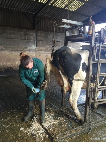 رشته انگل‌شناسی دامپزشکی, کارشناسی ارشد انگل‌شناسی دامپزشکی