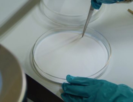 کاغذ صافی آزمایشگاهی, انواع کاغذ صافی