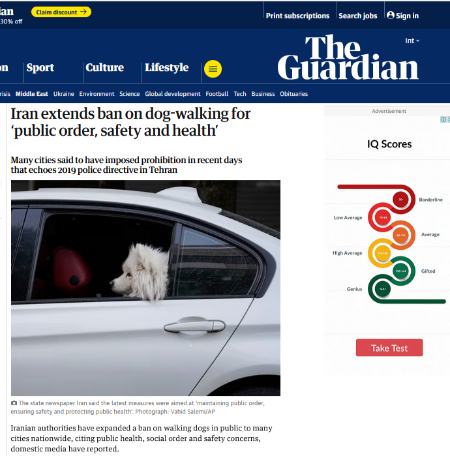 ممنوعیت سگ گردانی در ایران،اخبار اجتماعی،خبرهای اجتماعی