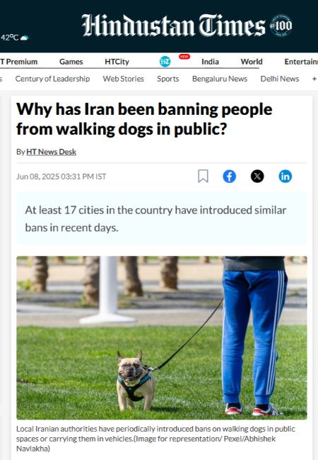 ممنوعیت سگ گردانی در ایران،اخبار اجتماعی،خبرهای اجتماعی