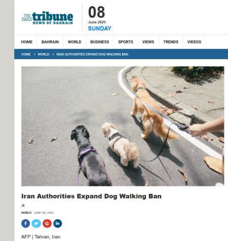 ممنوعیت سگ گردانی در ایران،اخبار اجتماعی،خبرهای اجتماعی