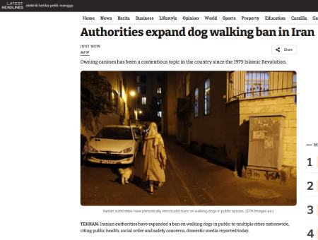 ممنوعیت سگ گردانی در ایران،اخبار اجتماعی،خبرهای اجتماعی