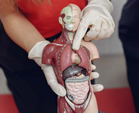 دکستروکاردیا, علائم دکستروکاردیا