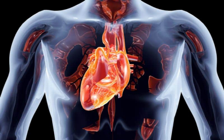 دکستروکاردیا, علائم دکستروکاردیا