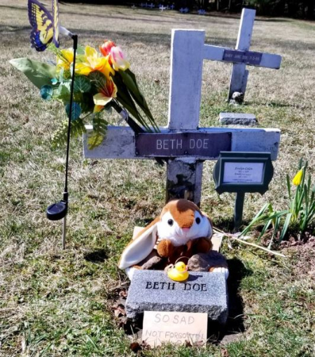 گورستان حیوانات هارتسدیل,قدیمی‌ترین قبرستان حیوانات