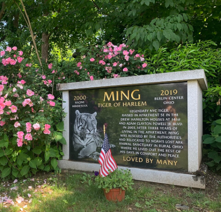 گورستان حیوانات هارتسدیل,قدیمی‌ترین قبرستان حیوانات