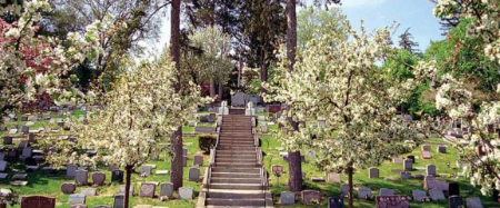 گورستان حیوانات هارتسدیل,قدیمی‌ترین قبرستان حیوانات