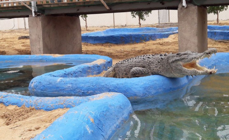 پارک کروکودیل قشم, پارک نوپک قشم