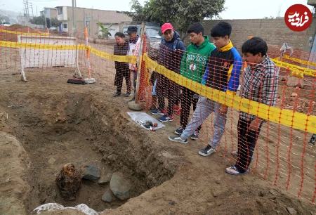 مومیایی،اخبار گوناگون،خبرهای گوناگون