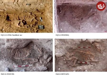 الاغ،اخبار گوناگون،خبرهای گوناگون