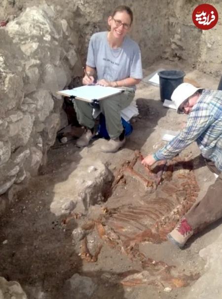 الاغ،اخبار گوناگون،خبرهای گوناگون