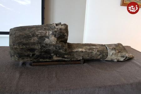 تیرک چوبی،اخبار گوناگون،خبرهای گوناگون