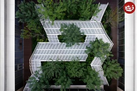 حیاط،اخبار گوناگون،خبرهای گوناگون