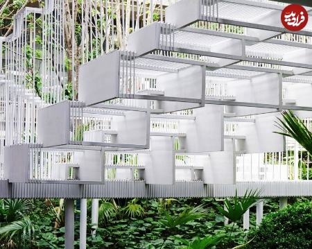 حیاط،اخبار گوناگون،خبرهای گوناگون