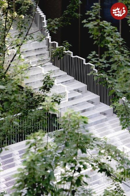 حیاط،اخبار گوناگون،خبرهای گوناگون