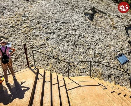 محل زندگی دایناسور،اخبار گوناگون،خبرهای گوناگون