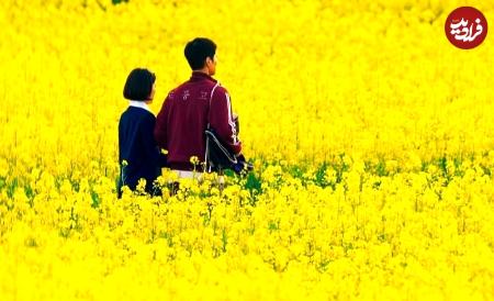 اخبار,اخبار امروز,خبرهای جدیدسریال کره‌ای،اخبار فرهنگی،خبرهای فرهنگی