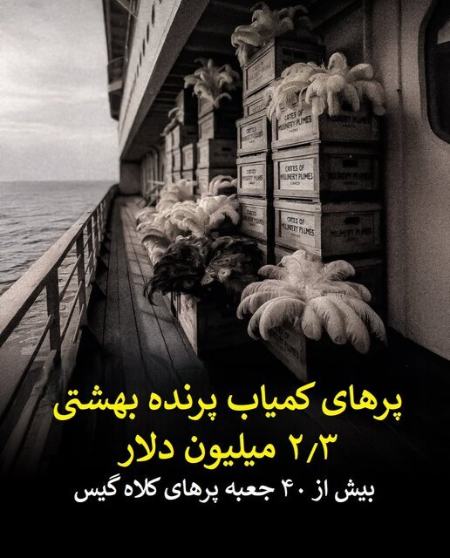 تایتانیک،اخبار گوناگون،خبرهای گوناگون