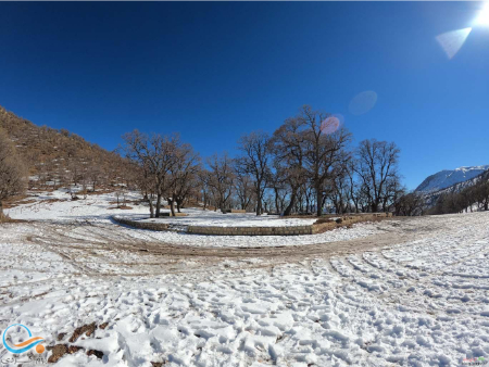 پارک جنگلی آلچالق, پارک درختان آلوچه