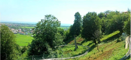 پارک جنگلی آلچالق, پارک درختان آلوچه