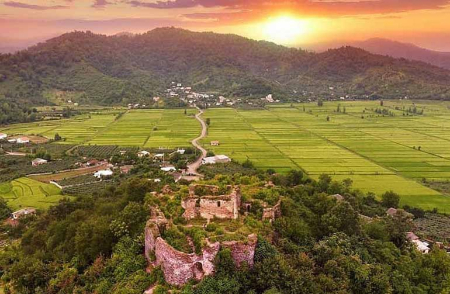 پارک جنگلی آلچالق, پارک درختان آلوچه