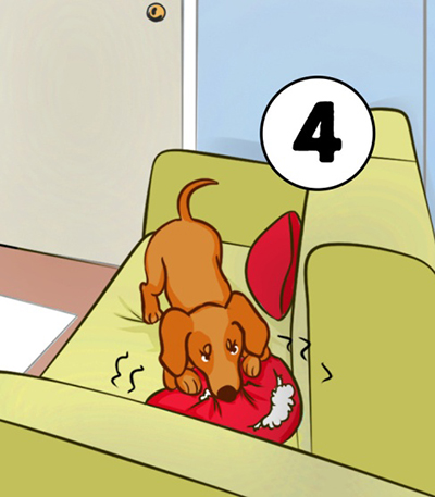 تست روانشناسی شخصیت جدید