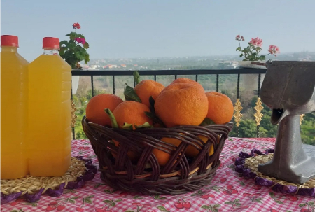 نگهداری طولانی مدت آب نارنج, خواص آب نارنج و نگهداری