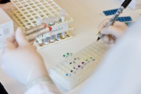 انگل‌شناسی دامپزشکی, انگل‌های حیوانات اهلی و وحشی