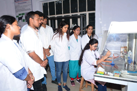 انگل‌شناسی دامپزشکی, انگل‌های حیوانات اهلی و وحشی