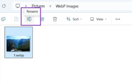باز کردن تصاویر WebP در ویندوز, مشاهده WebP در مرورگر