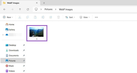 باز کردن تصاویر WebP در ویندوز, مشاهده WebP در مرورگر