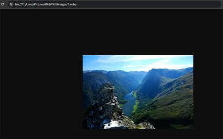 باز کردن تصاویر WebP در ویندوز, مشاهده WebP در مرورگر