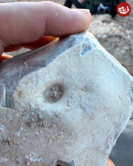 فسیل،اخبار گوناگون،خبرهای گوناگون