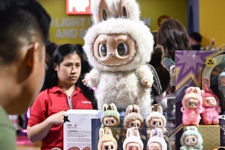 لابوبو،اخبار گوناگون،خبرهای گوناگون