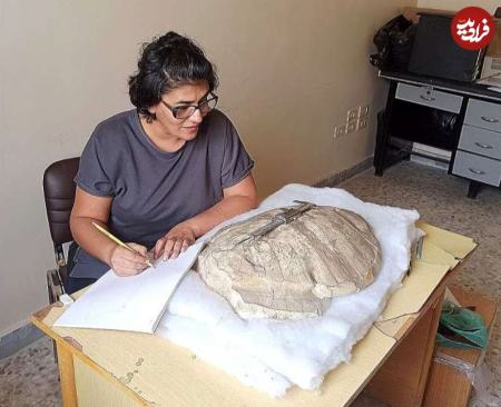 لاک پشت،اخبار گوناگون،خبرهای گوناگون