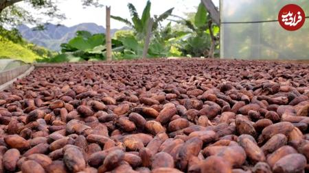 شکلات،اخبار گوناگون،خبرهای گوناگون