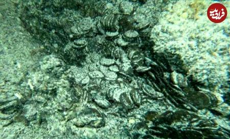 سکه باستانی،اخبار گوناگون،خبرهای گوناگون