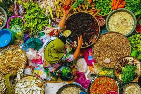 بهترین زمان برای خرید در شمال