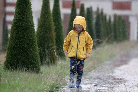 بوی خاک پس از باران,علت بوی خاک هنگام بارندگی